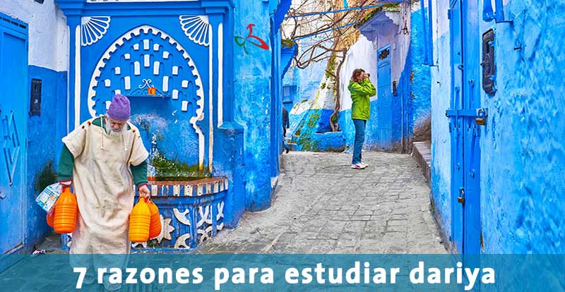 7 razones para estudiar dariya